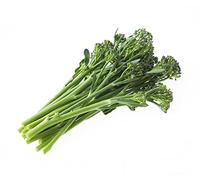 Vegetable Plants, Broccoli 'Slenderstem', 12 x Plant Pack, Broccoli Plants, Garden Veg, Garden Ready and Ready to Plant, Premium Quality Veg