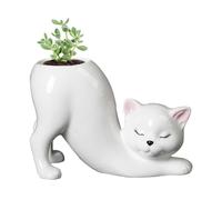 Vegetable Pots | Ceramic Plant Pots, Desktop Planter Pot Stand, Modern Plant Pot for Creative Cats for Hydroponic Plants for Garden Wedding Home