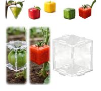 Vegetable Shaping Mold | Fruit Vegetable Growing Mould Reusable Creative