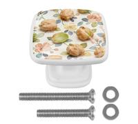 Veggie Pure GoodnessRound Corner Square Drawer Pulls,Stainless Steel Cabinet Handles, Matte Black Furniture Knobs