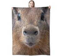 VEGlkj Cute Axolotl Flannel Throw Blanket 60x80 Inch,Whimsical Pink Animal in Magical Blankets Soft Cozy Fleece Throws for Nature Lover Bed Sofa Dorm Living Room Home Decor Gifts