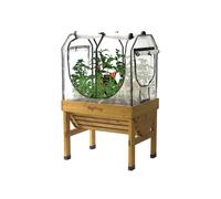 VegTrug Small 1m Classic Multi Cover and Frame Set, Clear