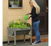 VegTrug Mini Wall Hugger - Grey Wash (FSC 100%)