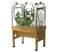 Classic Frames and Covers Small