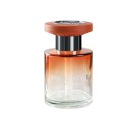 Vehicle Air Freshener - 150ml Oil Diffuser for Car Interior | Long-Lasting 90-120 Day Fragrance, Stylish Design, Perfect for Cars, Trucks, Gift for Men & Women, Drivers, and Road Trips