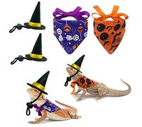 Vehomy 4Pcs Halloween Bearded Dragon Witch Costume Bearded Dragon Witch Hats Lizard Bandanas with Pumpkin Candy Pattern Lizard Wizard Hat Lizard Pumpkin Scarf Outfit for Hamster Leopard Gecko