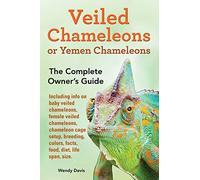 Veiled Chameleons or Yemen Chameleons as pets. info on baby veiled chameleons, female veiled chameleons, chameleon cage setup, breeding, colors, facts, food, diet, life span, size.