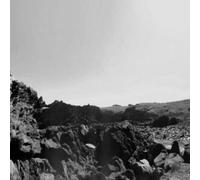 Six Organs Of Admittance - The Veiled Sea [VINYL]