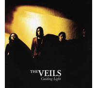 Veils, the - Guiding Light [7" VINYL]