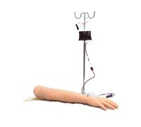 Vein Puncture And Intramuscular Injection Training Model For Medical Students, Doctors, And Nurses Practice