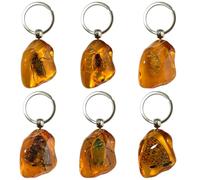 VEINARDYL 6 pcs Insect Amber Keychain, Creative Insect Fossil Pendants Resin Specimen Collection Pendants DIY Amber Crafts