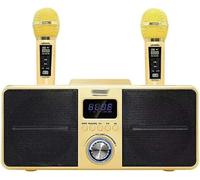 VejiA Dual Microphone Speaker Mobile Stereo Black 30W Speaker Set