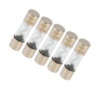 VekAuto 5 Pcs AGU Fuse, 100A Fuse Block Amp Fuse Universal for Car