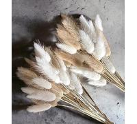 VELAFEE 100 Stems Mix Lagurus Bunny Tails Pampas Grass Decor for Home Decor Cake Decor 45cm 17.7inches Rabbit Tails Dried Flowers Bouquet Best for Boho Decor Table Decoration Bedroom Decor