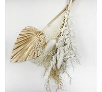 VELAFEE Gold White Dried Flowers Bouquet for Room Decor and Cake - 8 Stems 2 Whisk Pampas Bunny Tail 1 Oats Ruscus Dream Star Flower Golden Palm Leave, 25 x 16 x 2.5 cm