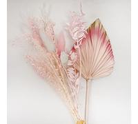VELAFEE Pink Dried Flowers Bouquet for Room Decor Cake Decor 12 Stems - 1 Dried Oats 2 Pink Wheat 2 White Gem Grass 2 Pink Gem Grass 2 Bunny Tails 1 Pink Ruscus 1 Pink Dream Star Flower 1 Pink Palm