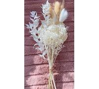 VELAFEE Sweet Dried Flowers Bouquet for Room Decor Cake Decor - 10 Stems - 1 Dried Palm Leave 3 Natural Bunny Tails 4 White Bunny Tails 1 Ruscus 1 White Million Star
