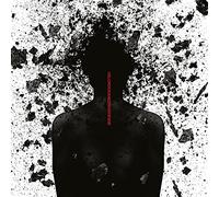 velcrocranes - What If I Die [VINYL]