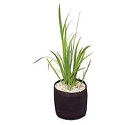 Velda Textile Plant Baskets Square & Round - Round 25 x 20cm