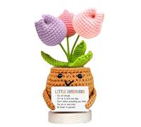 VELENTI Crochet Tulip Gift for Friend - “Little Reminders” Handmade Plant Pot with Uplifting Messages - Cute Friendship Decor for Mental Health & Self-Love