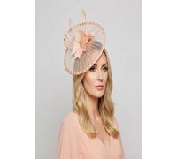 Vellin Women's Classic Disc Fascinator with Feather Flower Detail in Pink