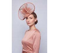 Vellin Women's Dramatic Fan Mesh Disc Fascinator with Feather Centre in Pink Vellin Pink One Size