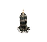 Vellin Women's Soft Wool BlendClassic Check Pattern Scarf Fringed Ends in Green