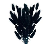 Vellivar Black Bunny Tails Pampas Grass Home Decor Dried Grasses for Vases Cake, 50pcs Rabbit Tails Bouquet Small Dried Flowers Table Decoration Room