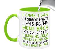 Vellivar Funny Mugs, I Came I Saw I Forgot Mug, Quirky Gifts for Women Leaving Gifts for Men Novelty Mug Retirement Gift Birthday Christmas Funny Gift Mug Coffee Cup Ceramic Tea Mug 350ml Green