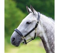 Velociti GARA Adjustable Leather Headcollar Black - Black - Full