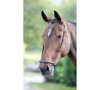 Velociti GARA Drop Noseband Black - Pony