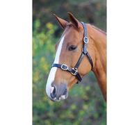 Velociti GARA Fully Adjustable Leather Headcollar - Black - Extra Full