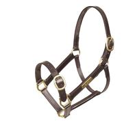 Velociti GARA Fully Adjustable Leather Headcollar - Havana - Cob