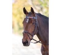 Velociti GARA Leather Polo Browband Turquoise/Red/Orange/Blue - Pony