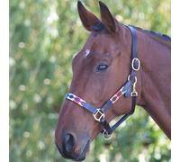 Velociti Gara Leather Polo Headcollar - Cob · Turquoise Red Orange and Blue