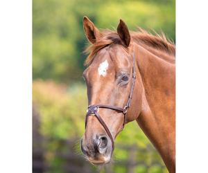 Velociti GARA Mexican Noseband Havana - Pony