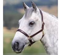 Velociti Gara Ragley Lined Leather Headcollar - Full · Havana