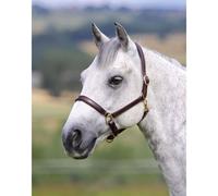 Velociti GARA Ragley Lined Leather Headcollar - Havana - Full