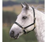 Velociti Gara Ragley Lined Leather Headcollar - Small Pony · Black