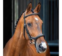Shires Lusso Ergonomic Horse Flash Bridle Black - Cob