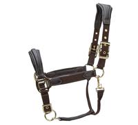 Velociti LUSSO Padded Leather Headcollar - Havana - Cob