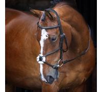 Shires Velociti Grackle Bridle - Black - Pony