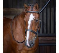 Velociti Rapida Hunter Cavesson Bridle - Pony · Black