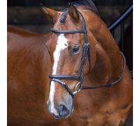 Velociti Rapida Padded Raised Flash Bridle - Cob · Havana