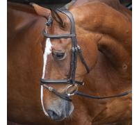 Velociti Rapida Padded Raised Flash Bridle - Extra Full · Black