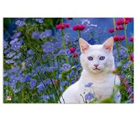 Veloflex 4651099 - Cat Desk Mat, 40 x 60 cm, Non-Slip, Washable, with Transparent Anti-Reflective Protective Film, Desk Pad, Painting Mat, Craft Mat, 1 Piece
