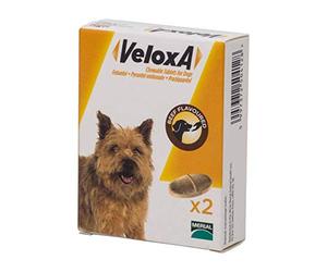 Veloxa Chewable Dog Wormer, 2 Tablets