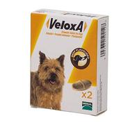 Veloxa Chewable Dog Wormer, 4 Tablets