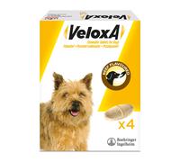 Veloxa Wormer for Dogs - Standard - 4 Tablets