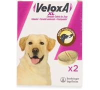 VeloxA XL for Dogs 2 Chewable Tablets